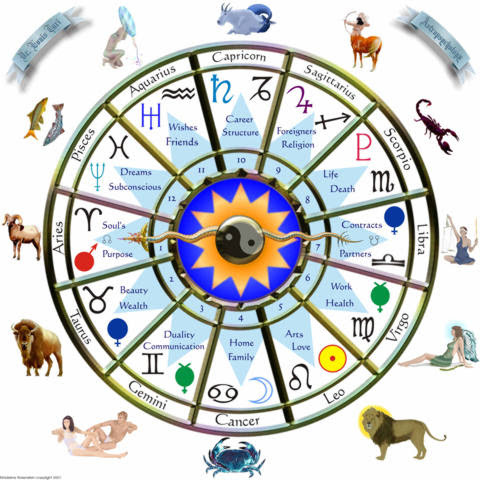 What do the houses of astrology mean