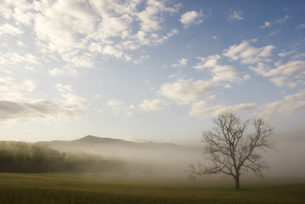 Cades Cove, TN