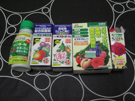 暇つぶし バラ 冬の消毒 有効でしょうか