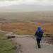 Wet Wednesday on Pen-y-Ghent