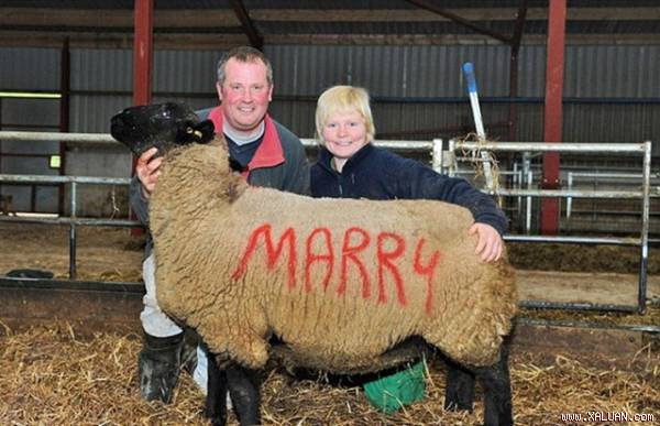 Stephen đã ngỏ lời cầu hôn với bạn gái lâu năm bằng những thông điệp trên lưng cừu