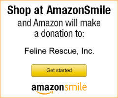 amazonSmile