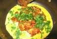 Shrimp Egg Pirattal