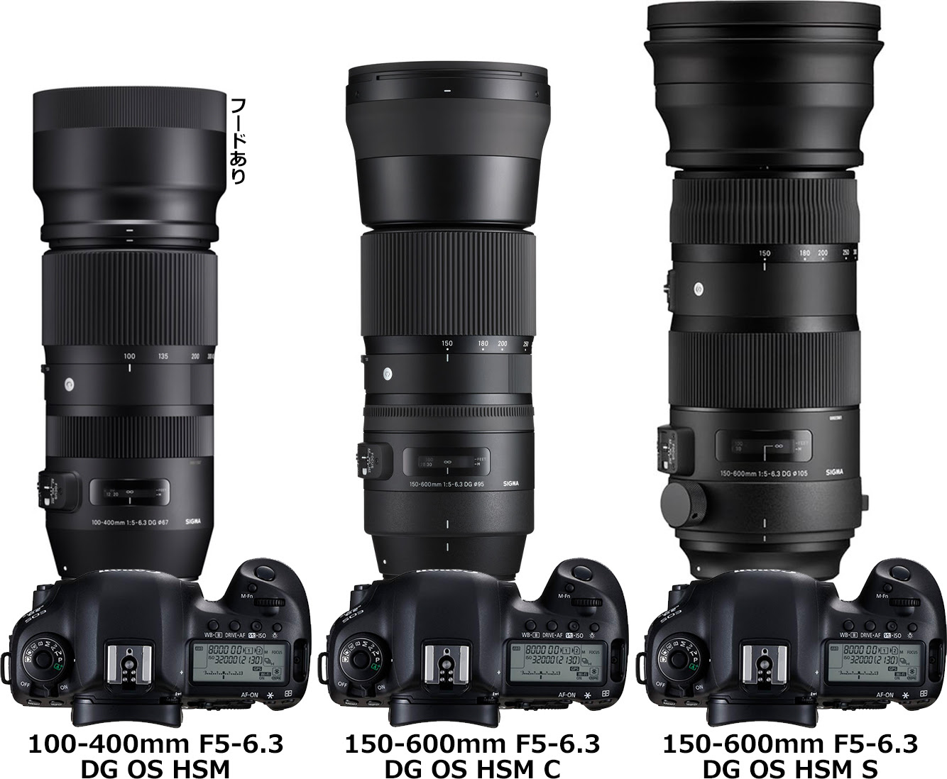 シグマ 100 400mm F5 6 3 Dg Os Hsm Contemporary と 150 600mm F5 6 3 Dg Os Hsm C S の違い フォトスク