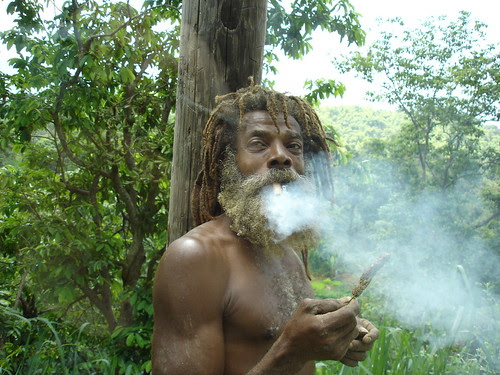 cannabis