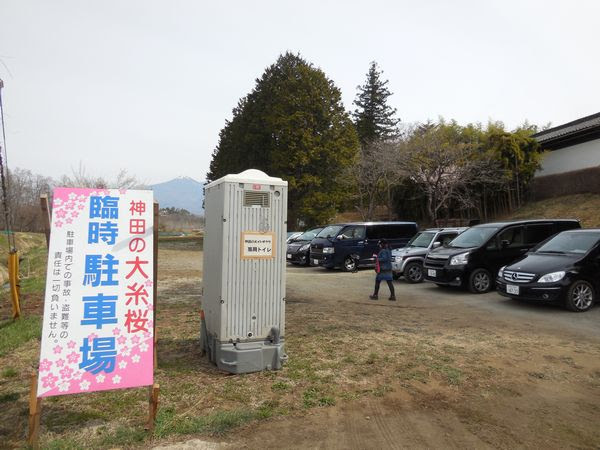神田の大糸桜 八ヶ岳南麓の山荘だより
