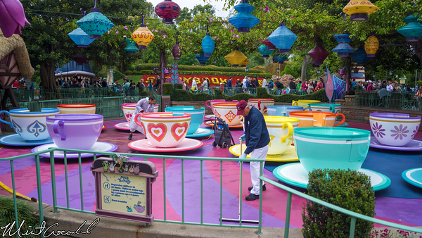 Disneyland Resort, Disneyland, Tea, Cup, Rain, Clean, Custodial, Close, Closed
