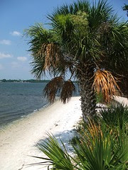 phillippebeach