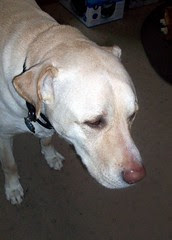 Zeus_11809b