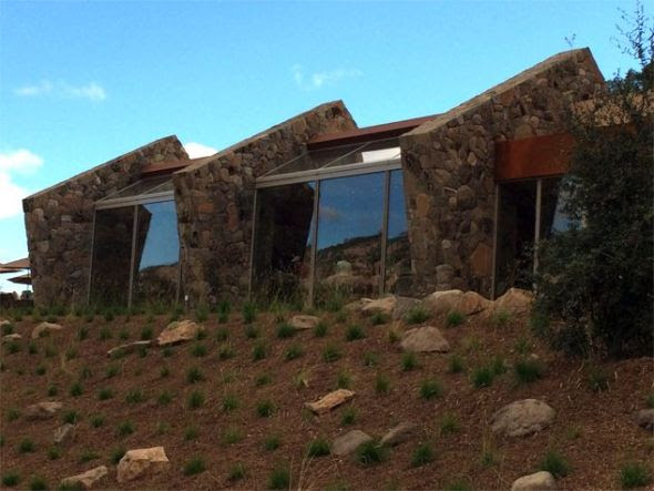 Viñedo integrado a la naturaleza