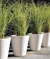 Easy Container Gardens | RealSimple.