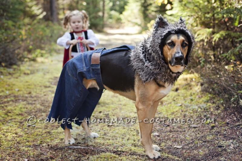 10 Unique DIY Dog Halloween Costumes  Living Rich With Coupons®