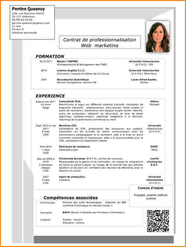 Exemple de cv animateur bafa - laboite-cv.fr