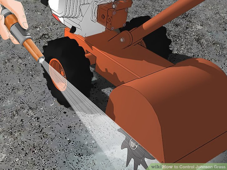 Control Johnson Grass Step 5.jpg