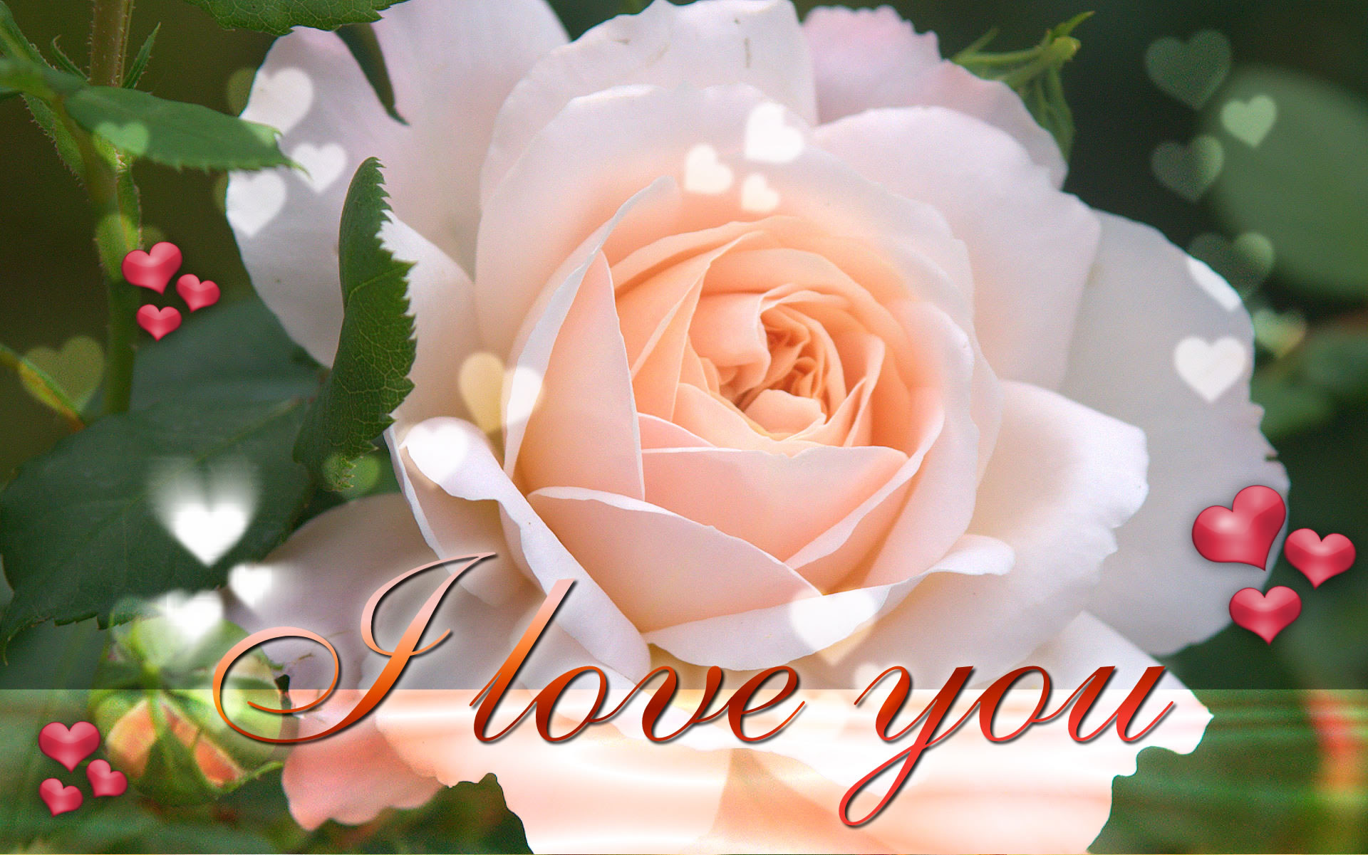 Love sayings Backgrounds Love Wallpaper