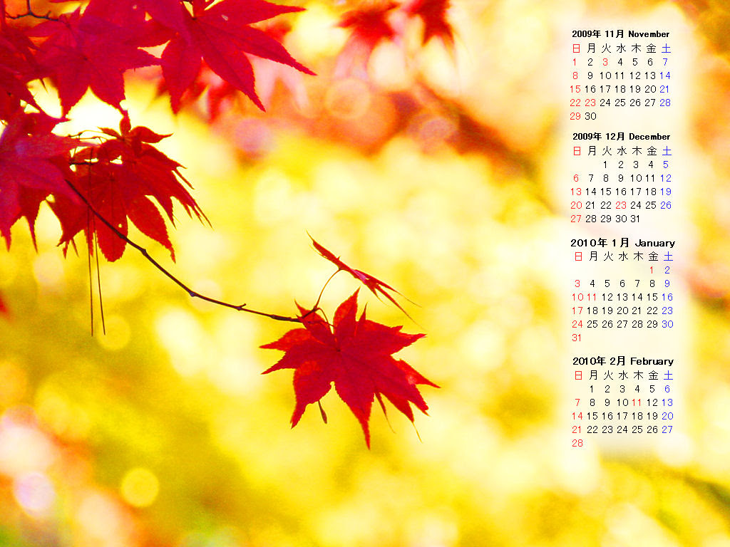 壁紙 紅葉 11月無料壁紙カレンダー 兵庫と神戸の写真ブログ