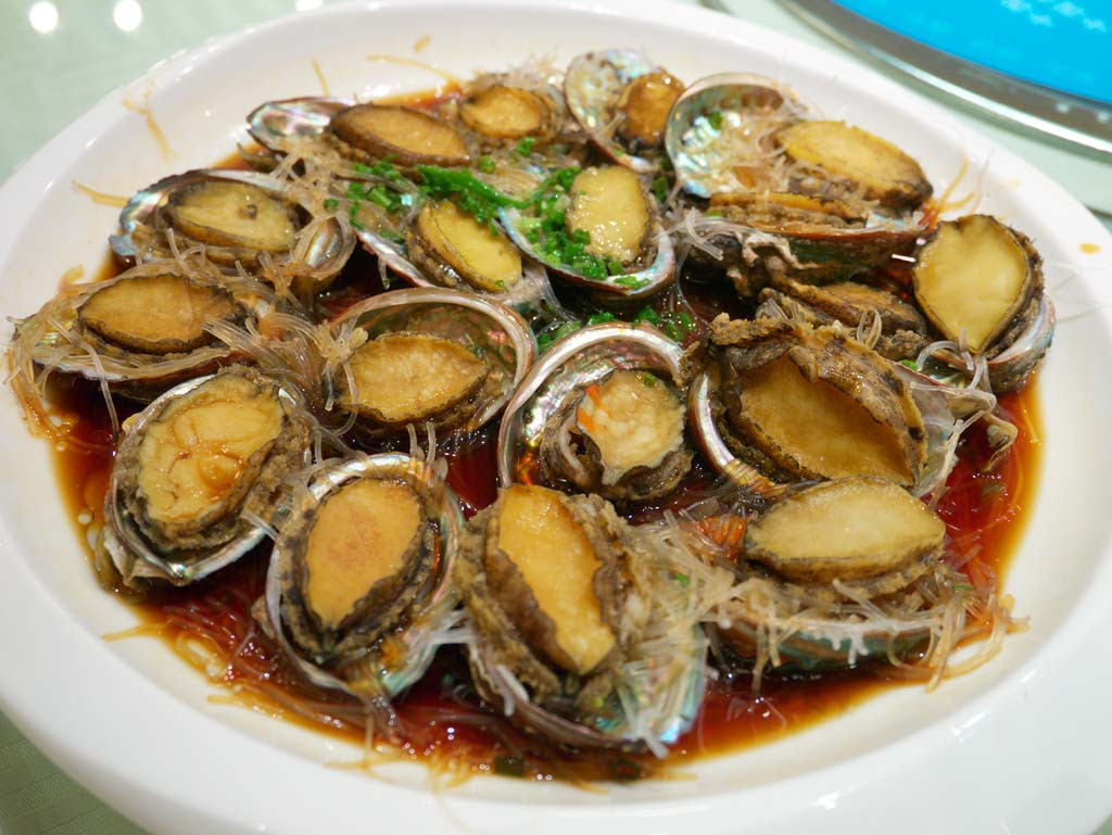 ゆんフリー写真素材集 No トコブシ 中国 上海