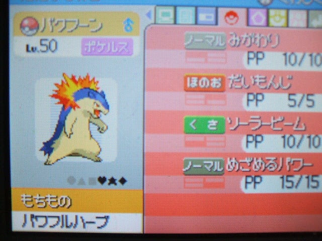 バクフーン すねかじりブログ