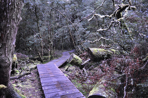 Cradle Mountain, Tasmania.