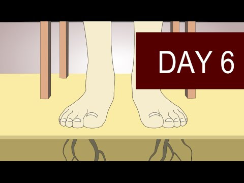 Meditation - Day 6 - How to Ground and Center Yourself