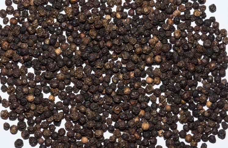 Pepper