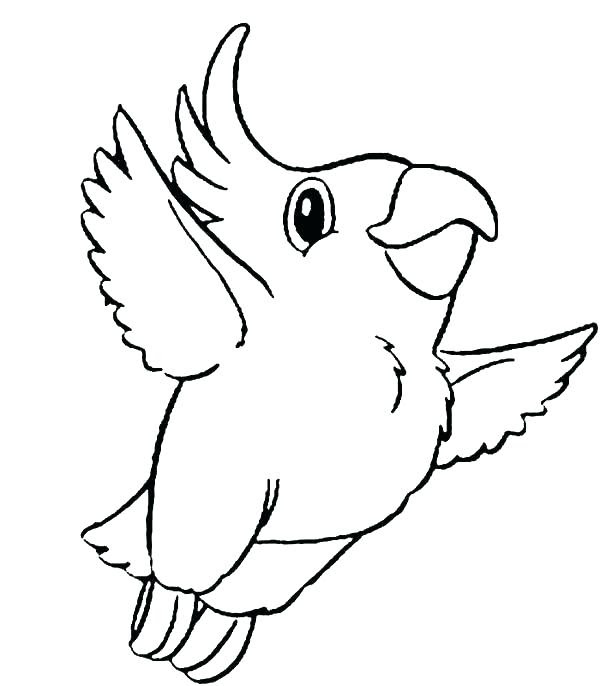 Flying Parrot Coloring Pages at GetColorings.com | Free ...
