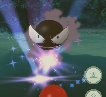 ポケモンgo ポケモンを捕まえやすくする ズリのみ の効果 使い方 入手方法のまとめ 財経新聞