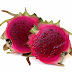 Dragon Fruit - Dragon Fruit | AmeliaAndJP.com - Dragon fruit is a type of cactus that people often eat for its antioxidants, rich vitamin and mineral content, and unique flavor.