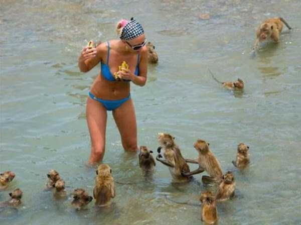 funny-beach-moments (1)