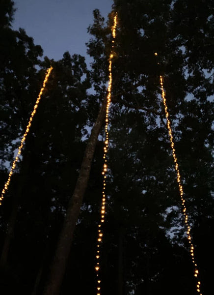 How To String Lights On An Outdoor Tree Elflogic Com