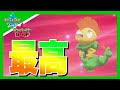 ポケモン ズルッグ 色違い 310558-ポケモン ズルッグ 色違い