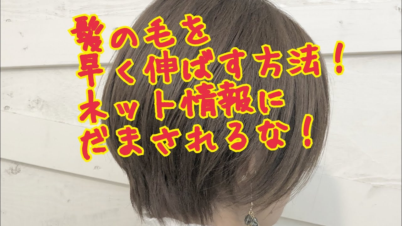 切りすぎた 髪の毛が早く伸びる方法 Hair Make Sino 埼玉県川越市の美容室 理容室
