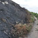 Howth July 23 060