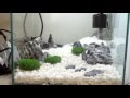 70以上 金魚 レイアウト 石 240426-金魚レイアウト石