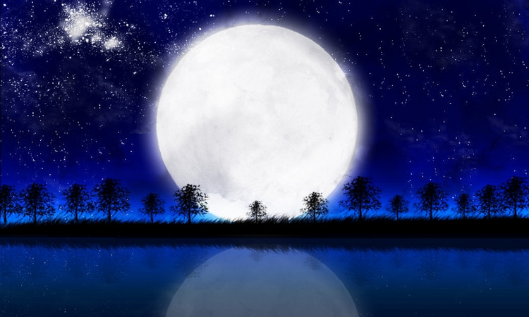  photo untitled-1208.png