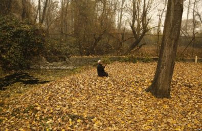 صور حول العالم