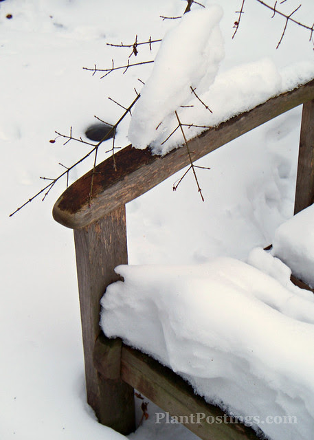 bench1