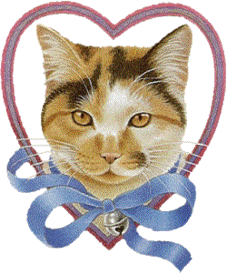 chat