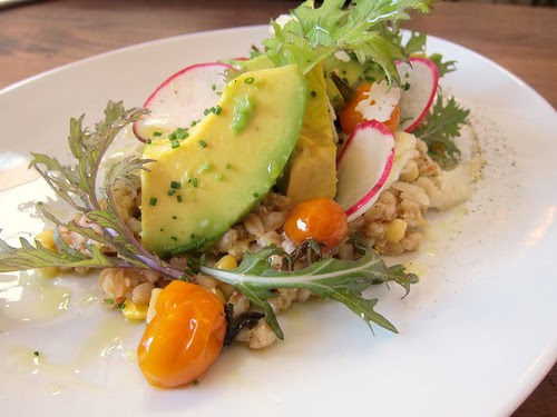 Corn Avocado Salad