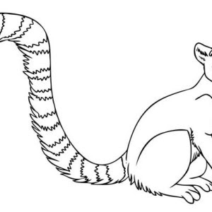 Download Tail coloring pages to download and print for free