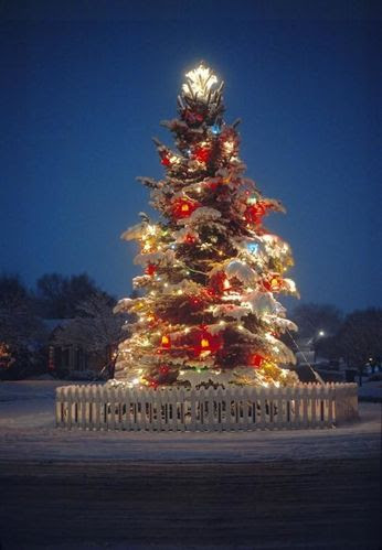 De Beaux Sapins de Noel d Exterieur i love noel over De Beaux Sapins de Noel d Exterieur i love noel over