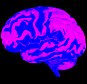 3D human brain. Image shot 09/2012. Exact date unknown.  E4NBP5   brain, intelligence, brain, surgery, health, science, medical, biology