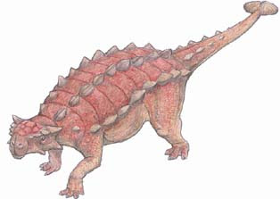 ピナコサウルス Pinacosaurus 川崎悟司イラスト集