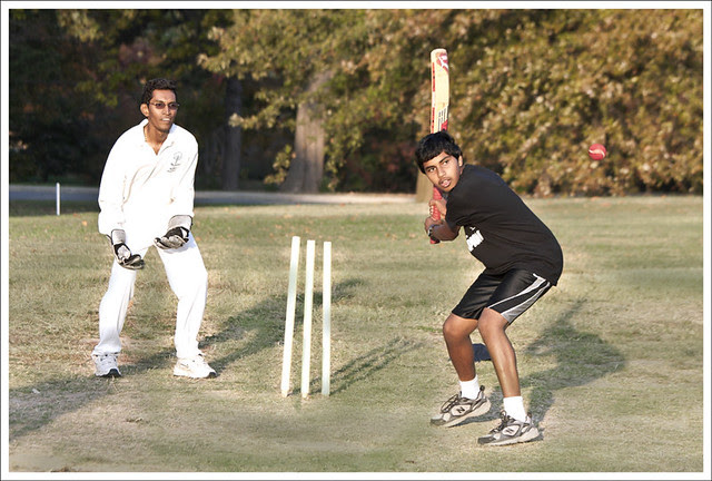 Cricket Batsman 1