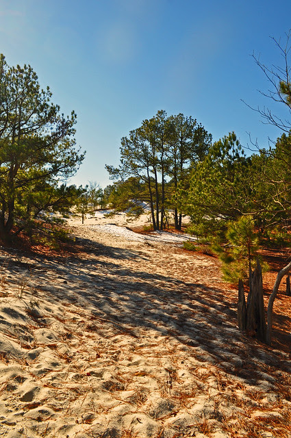 Through the Dunes