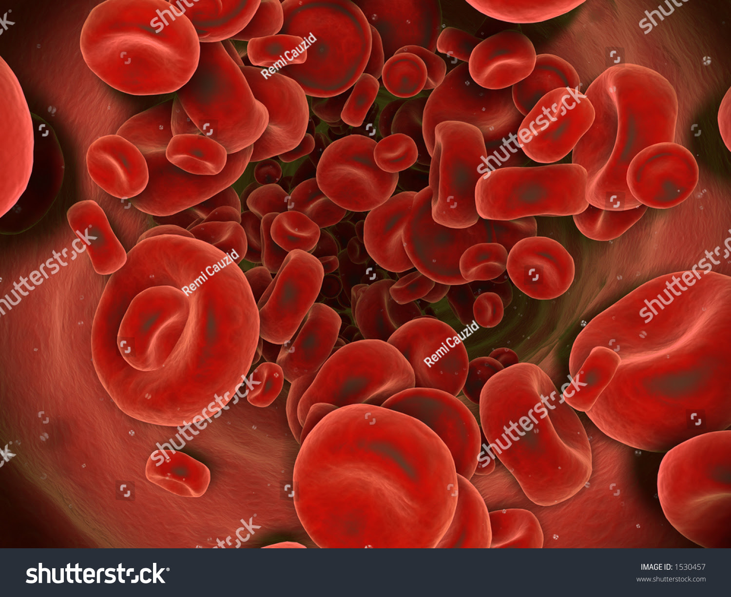 Red Blood Cells. Stock Photo 1530457 : Shutterstock