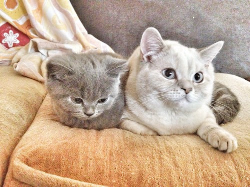little brother and big sister