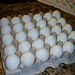 DSCN8386
