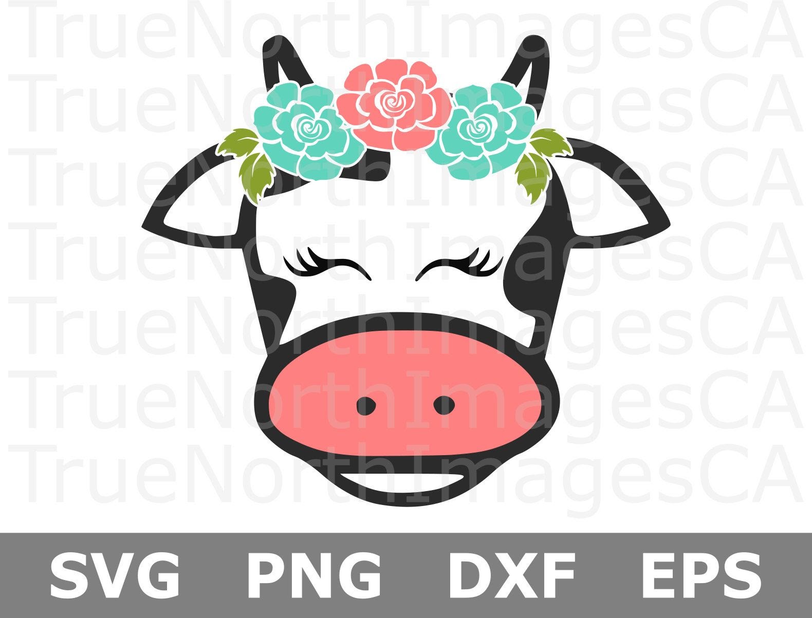 Download Baby Cow Head Svg - 67+ Popular SVG File for Cricut, Silhouette and Other Machine