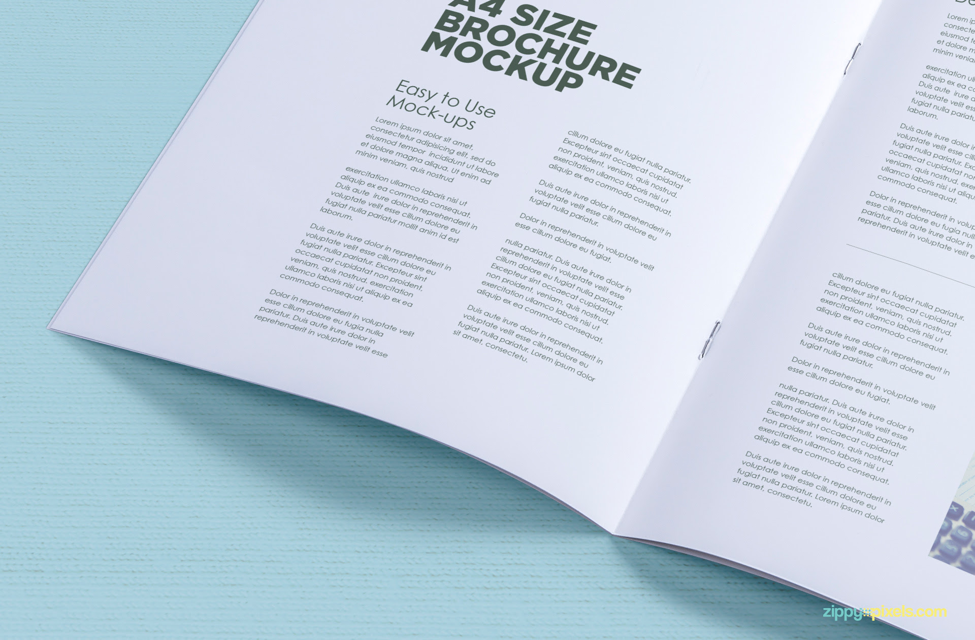Download Free A4 Brochure Mockup | ZippyPixels